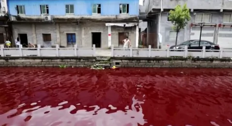 Chinese River Turns Bloody Red Overnight (Video)