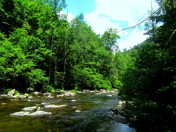 Approaching Abrams Falls in the Great Smoky Mountains National Park (Traveling Ted)