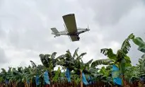 Africa the Next Home of an Agricultural Revolution