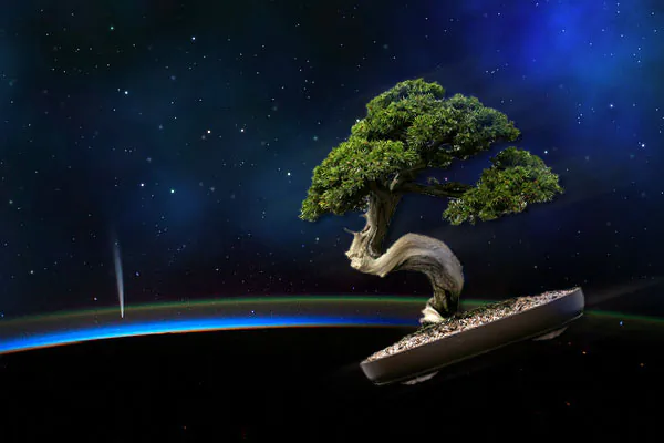 The Strange Things We Shoot into Space