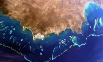 Great Barrier Reef May Face a Deadly Summer