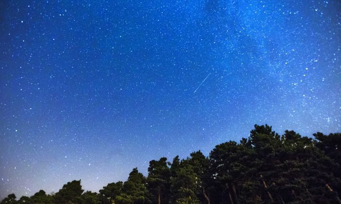 Two Perseid meteors, centre and lower left, streak across the sky during the annual Perseid meteor shower above a forest on the outskirts of Madrid, in the early hours of Monday, July 28, 2014. (AP Photo/Andres Kudacki)