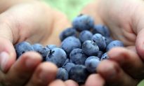 It’s National Blueberry Month, Enjoy!