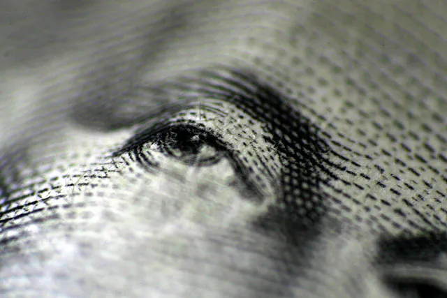 In the eye of the beholders, dollar dominance rules. (Flickr/peasap, CC BY)