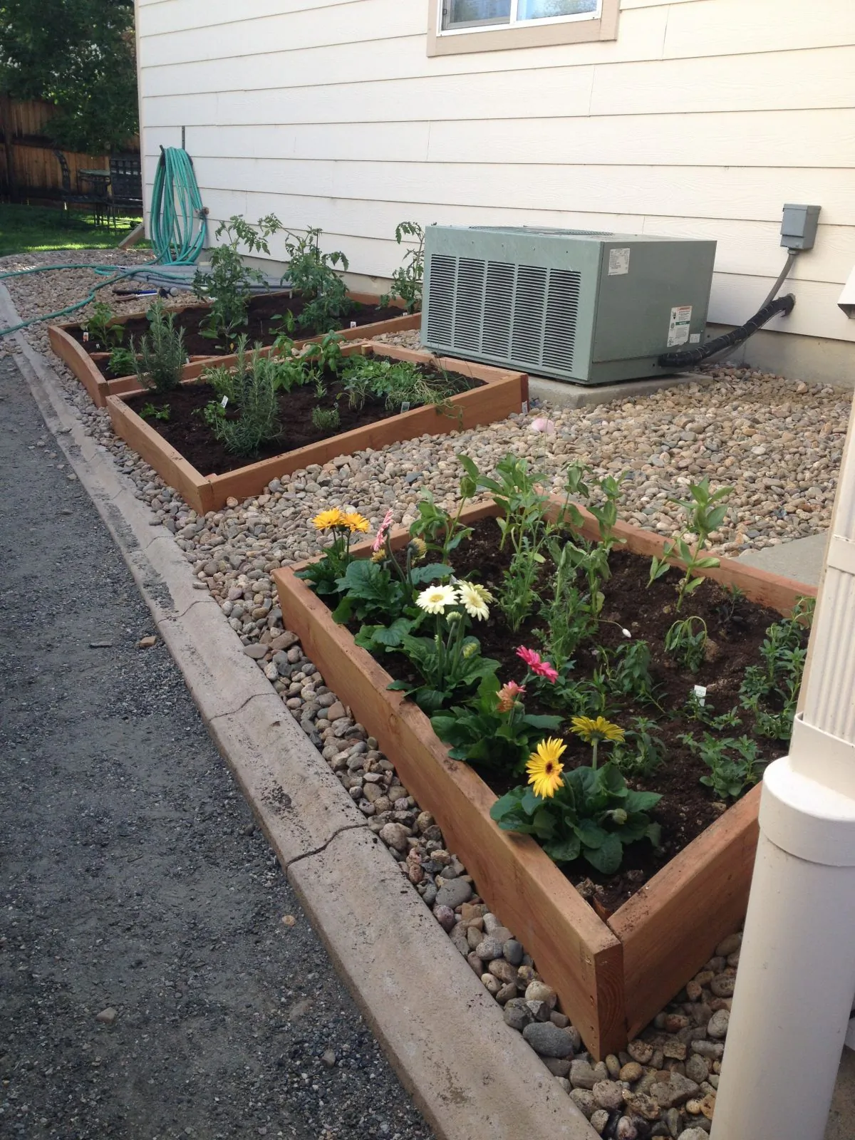 We chose plants we thought would be easy to grow and not too any of them (photo by LivligaHome).