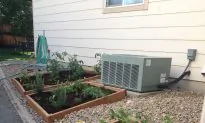 DIY Gardens for Cooking and Entertaining