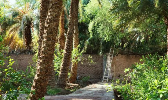 Is Makhunik an Ancient City of Little People?