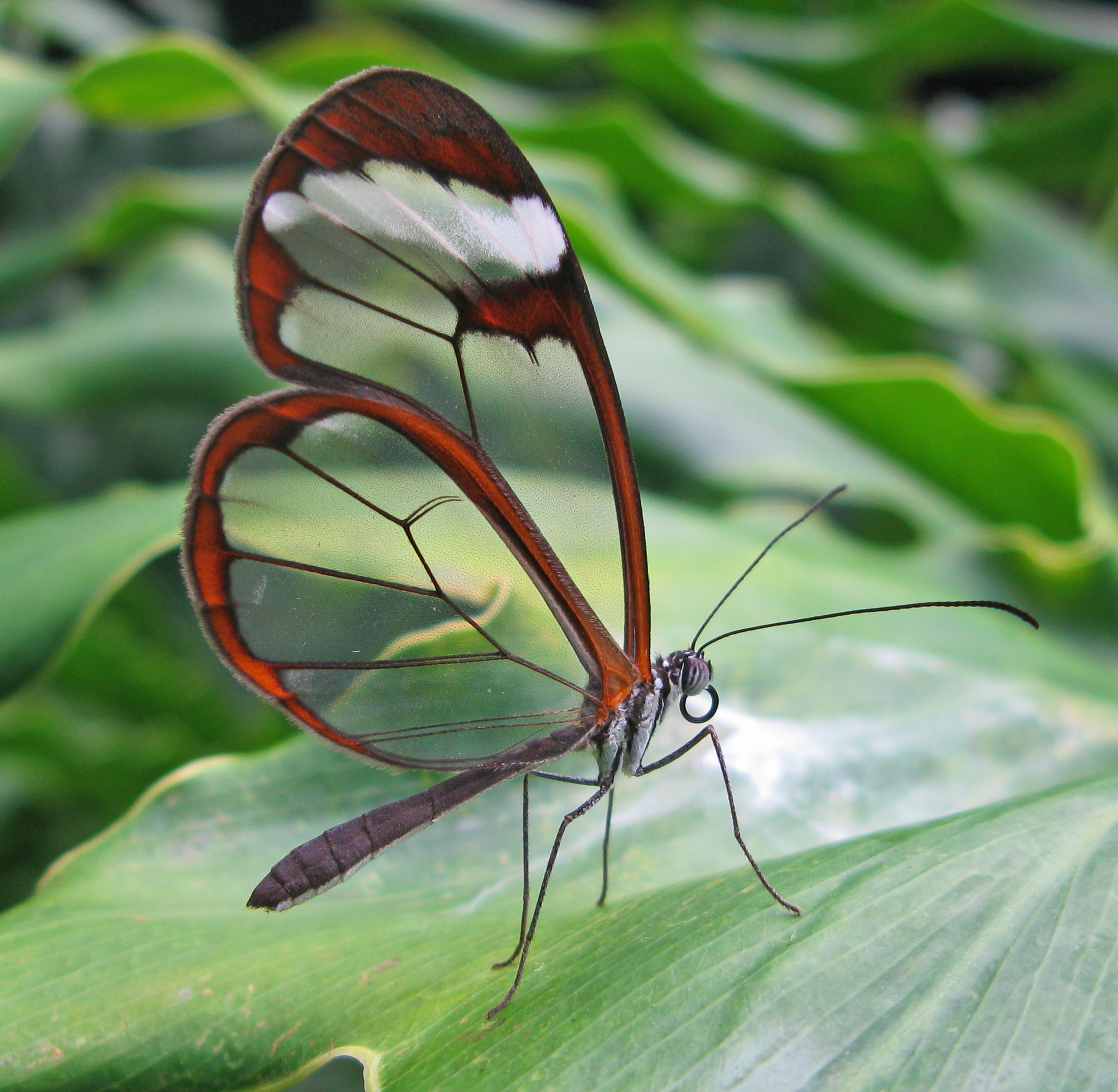 Epoch Times Photo