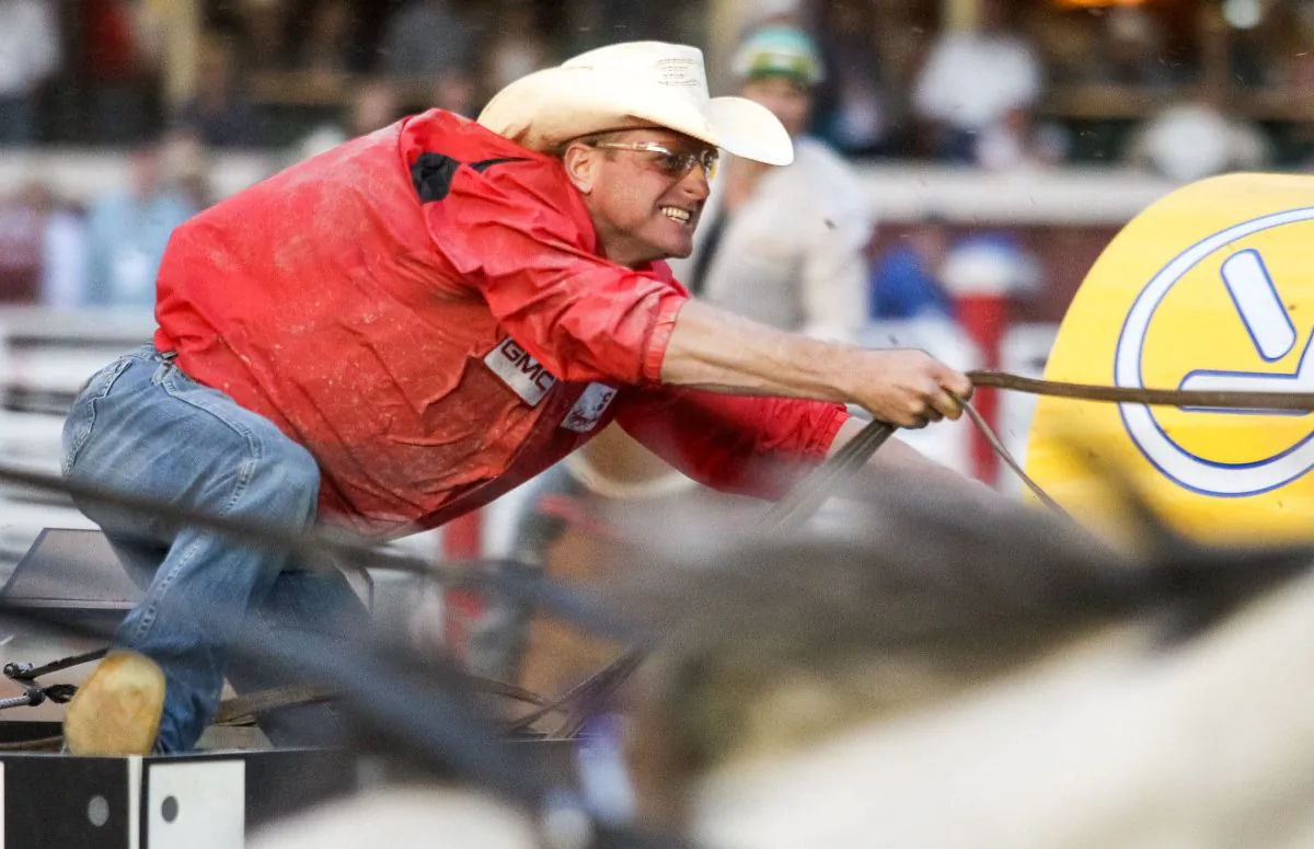 Chuckwagon driver Jason Glass races to the finish in the Calgary Stampede on July 12, 2013. He was the aggregate and $100,000 GMC Rangeland Derby champion in the 2013 Stampede. (Mike Ridewood/Courtesy Calgary Stampede)
