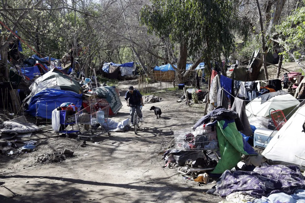 Tents are set up along a pathway in the Jungle, a homeless encampment in San Jose, Calif., on March 11, 2014. (Marcio Jose Sanchez/AP Photo)