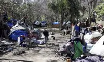 Homelessness Reaches Record High in Bay Area County