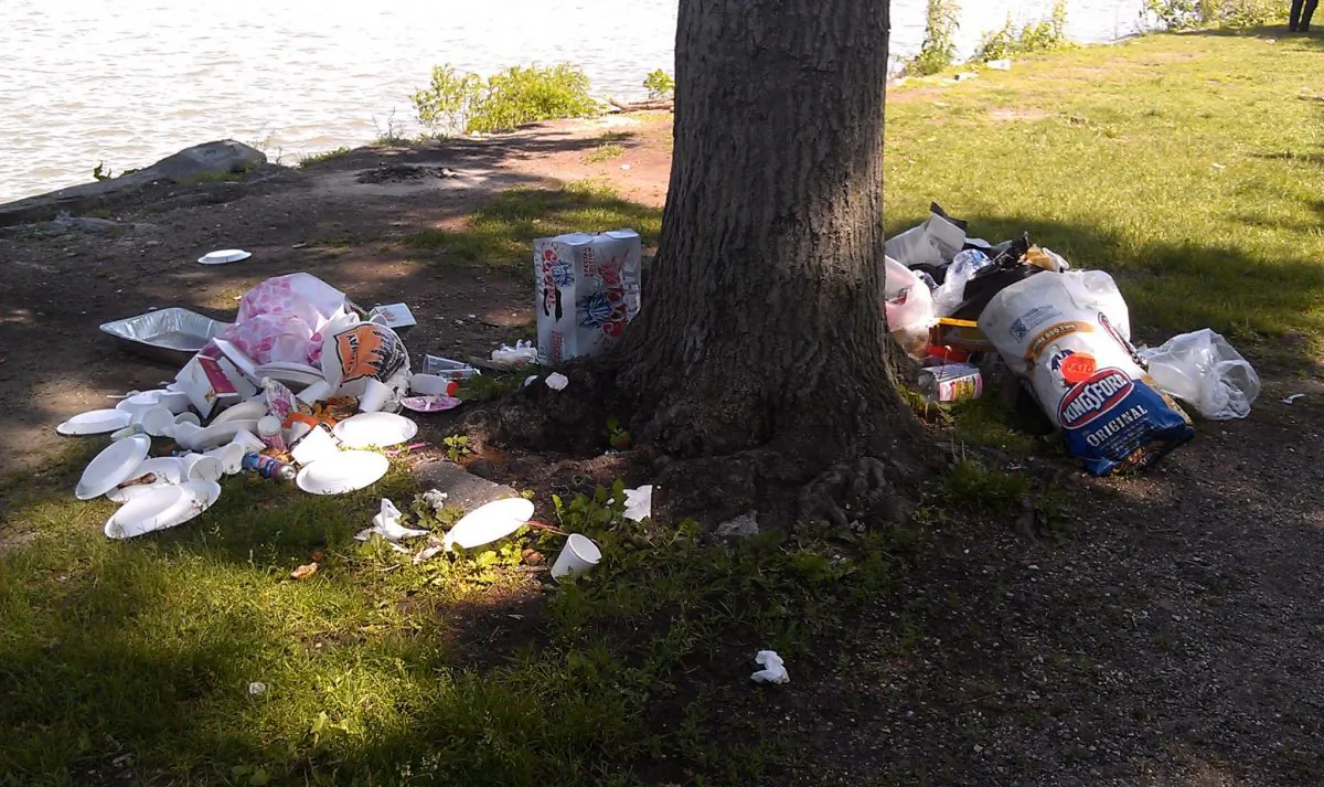 Trash left over from picnics, cover the ground at Riverside Park, in New York City, June 2014. (Courtesy of Riverside Park Alliance) 