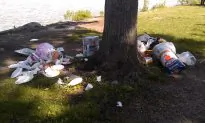 NYC Steps Up Efforts to Deal Riverside Park Problems