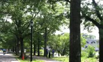 Parkgoers Say Cleanup Efforts at Riverside Park Are Working