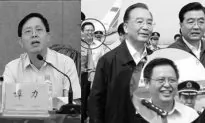 Deputy Governor of Hainan Province Felled in Corruption Investigation