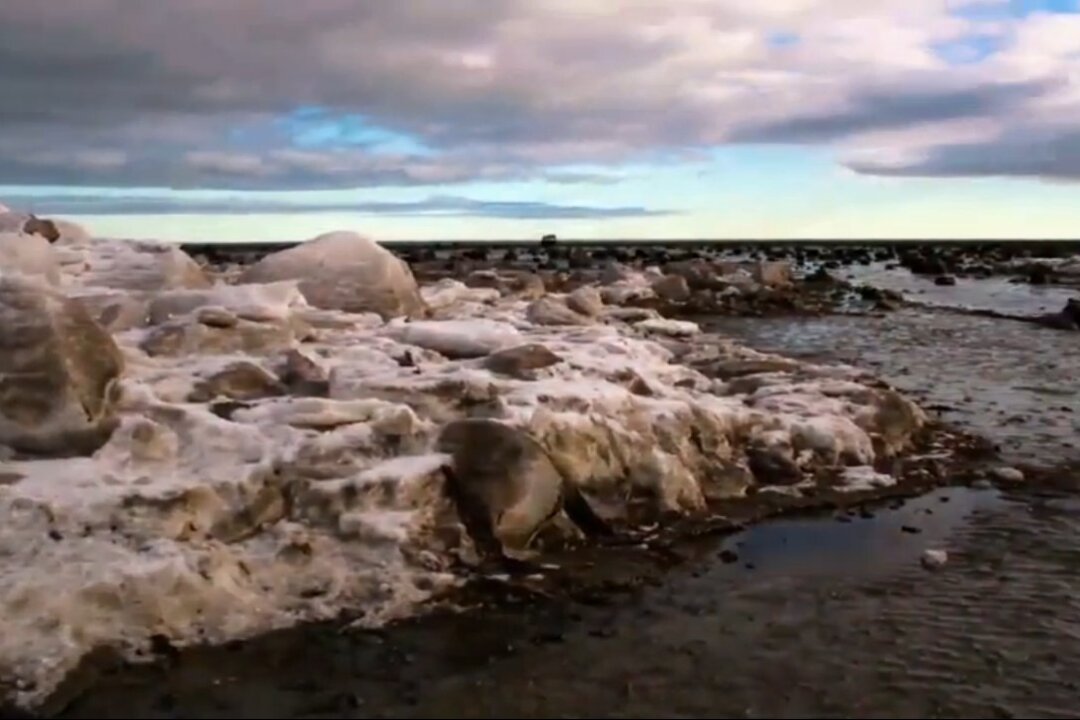 Arctic: Dangerous but Beautiful (Video) | The Epoch Times
