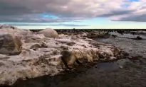 Arctic: Dangerous but Beautiful (Video)