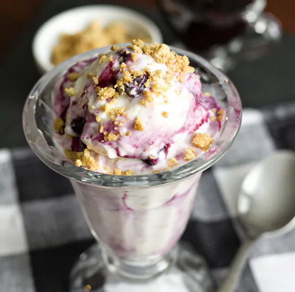 Blueberry Graham Frozen Greek Yogurt. (Courtesy of Erica's Sweet Tooth)
