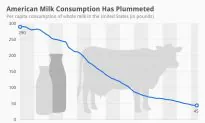 American Milk Consumption Has Plummeted (Infographic)