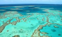 Coral Reefs & Luxury Resorts in the Whitsundays