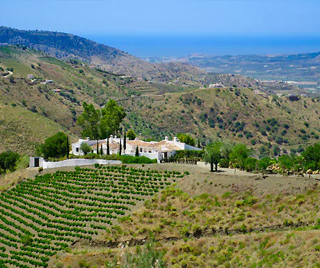Advantages of the Long Term Luxury Let