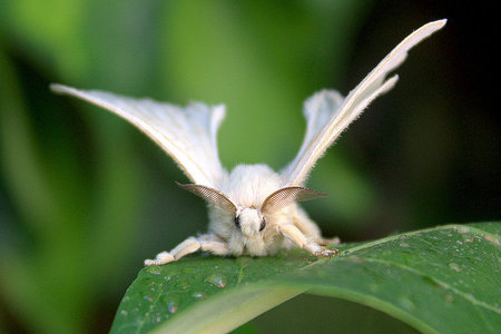 Epoch Times Photo