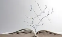 Boost Your Motivation With 10 Inspirational Quotes