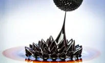 Movie Shows How Fluids Flow at the Nanoscale