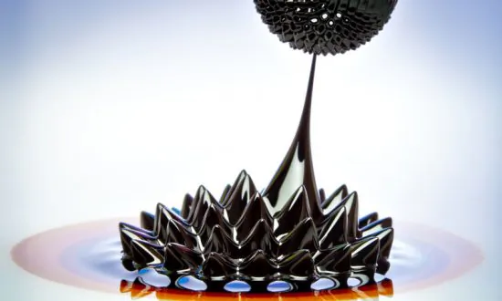 Movie Shows How Fluids Flow at the Nanoscale