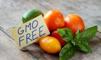 The Difference Between Heirlooms, Hybrids, and GMOs