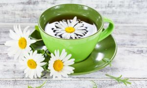 Herbal Decoction vs Herbal Capsules