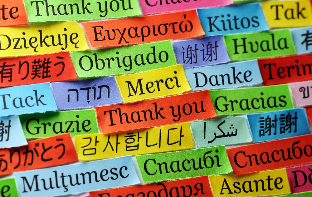 ©Shutterstock
