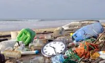 Summer Surprise: 10 Percent of America’s Beaches Are Too Polluted for Swimming