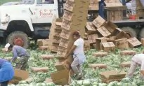 US Food Manufacturing—Science Based or Reckless?
