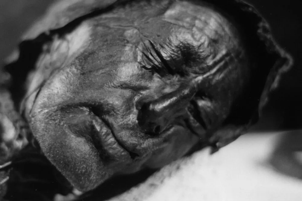 Head of the bog body known as Tollund Man, found in Tollund, Silkebjorg, Denmark, in 1950 and dated to approximately 375-210 B.C. (Sven Rosborn via Wikimedia Commons)