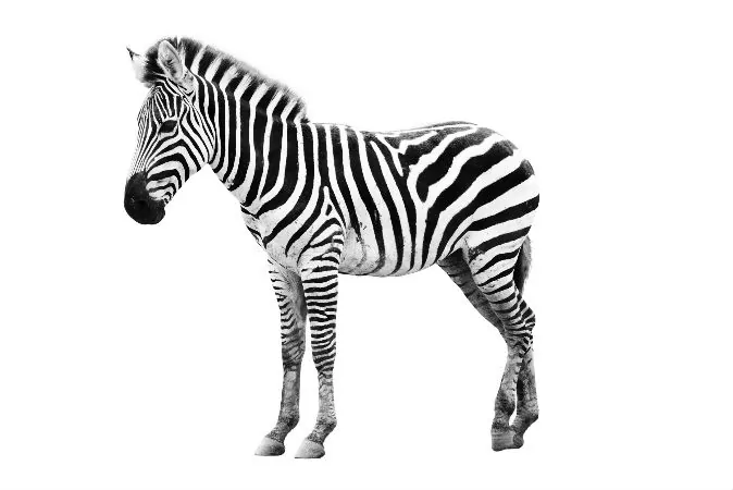 (Thinkstock)