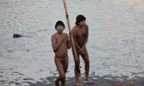 Brazil Releases Video Showing First Contact With Rainforest Tribe