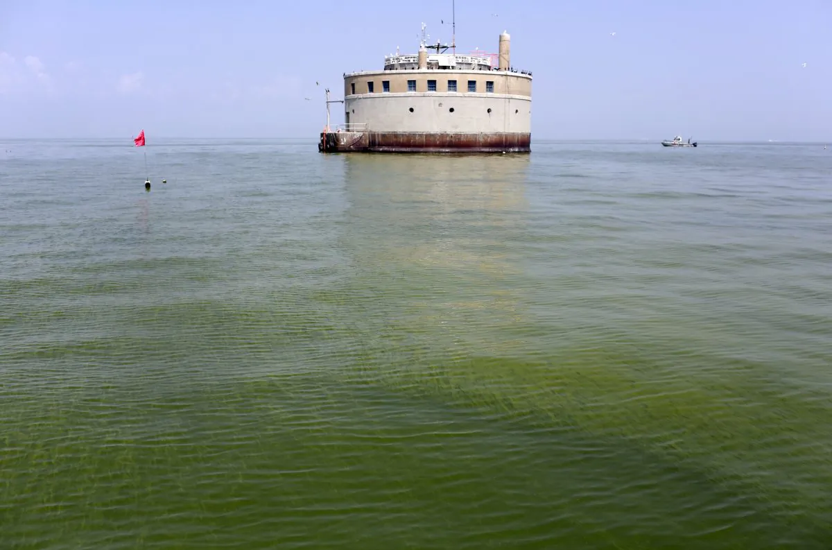 The City of Toledo water intake crib in Lake Erie, is surrounded by algae, Aug. 3, 2014. The intake is  about 2.5 miles off the shore of Curtice, Ohio. (AP Photo/Haraz N. Ghanbari)