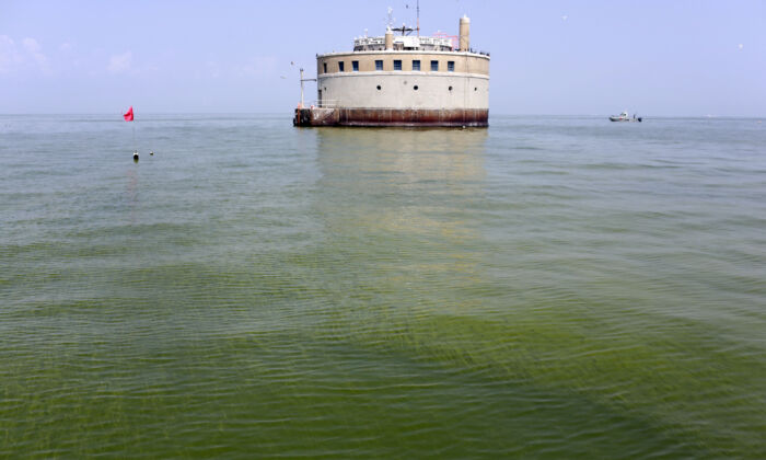 The City of Toledo water intake crib in Lake Erie, is surrounded by algae, Aug. 3, 2014. The intake is  about 2.5 miles off the shore of Curtice, Ohio. (AP Photo/Haraz N. Ghanbari)