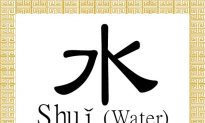 Chinese Character for Water: Shuǐ (水)