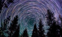 This Mesmerizing Time-Lapse Video Will Carry You Above Giant Sequoias to Whirl With the Stars
