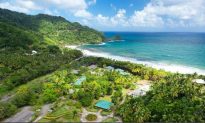 Dominica: The Preserve of the Sea Turtle