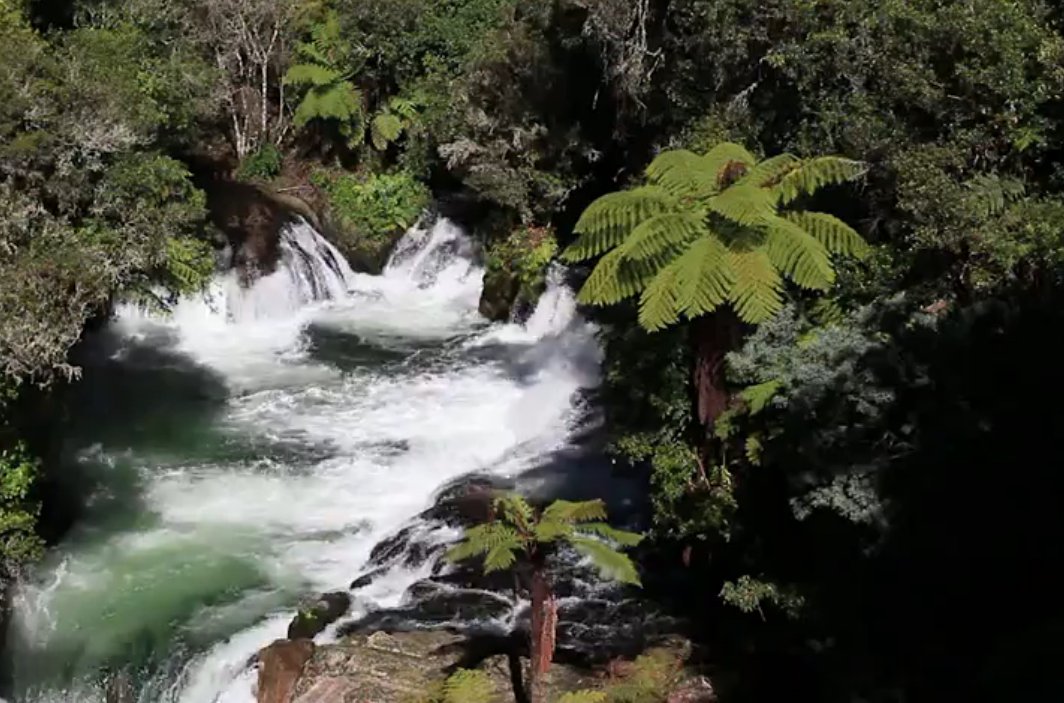 Rotorua, Hot Springs: Natural Beauty of New Zealand (Video)