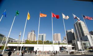 Participants at the World Transplant Congress Speak Out About Organ Harvesting