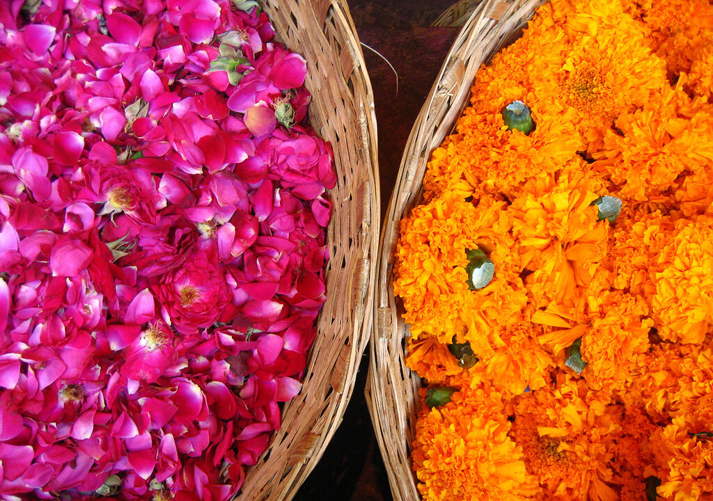 Roses or marigolds, what is the scent of love? (Meena Kadri, CC BY-ND)