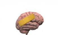 Two Foods That May Sabotage Your Brain