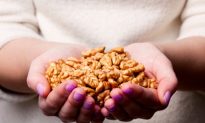Walnuts Found to Improve Brain Performance