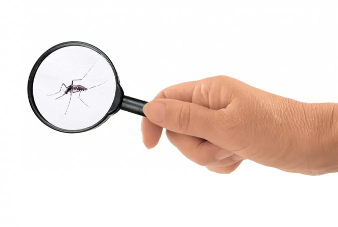 (Shutterstock*)