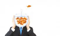 Does a ‘Fishy’ Lifestyle Keep Brains Healthy?