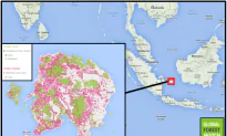 Deforestation and Mining Ruining Small Island